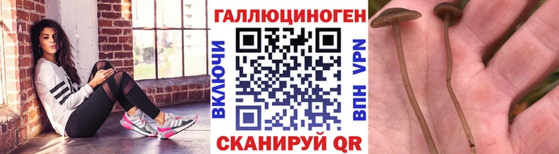 Галлюциногенные грибы ЛСД  Тамбов 